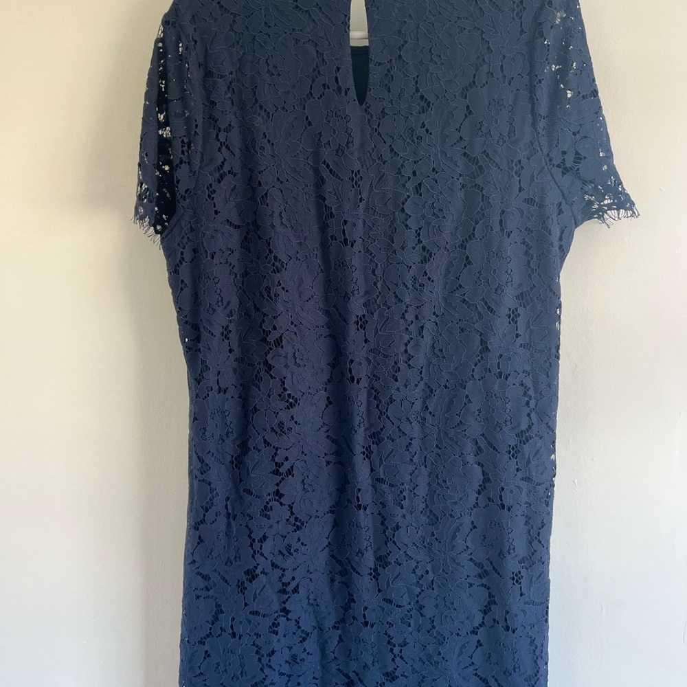 Size 16 JD Williams Navy Lace Occasion Dress - Picture 6 of 6